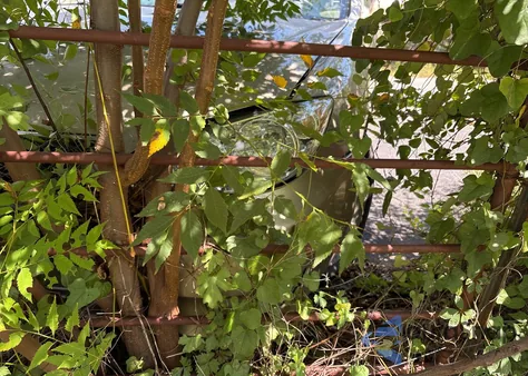 2005 Toyota Camry Se V6 z USA, uszkodzony, nr VIN 4T1BA32K05U074598